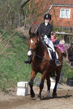 Bild 910 - WBO-Turnier am 9.4.11